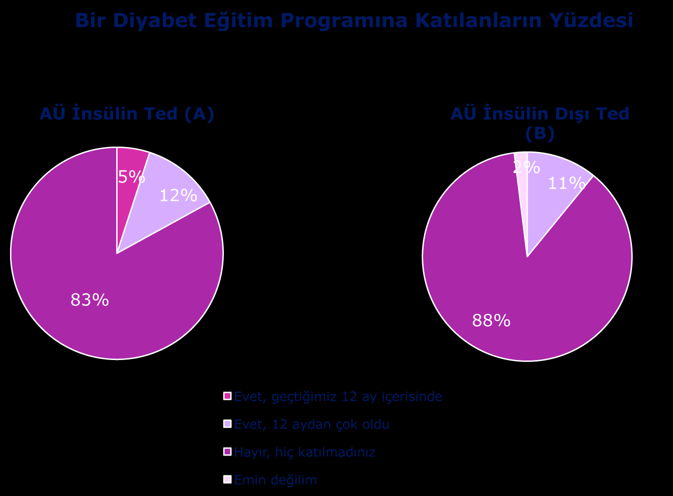 Eğitim programlarına katılım Temel: Tüm uygun AÜ (İnsülin Ted: n=60; İnsülin Dışı Ted: n=66) Soru: Lütfen