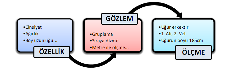 ÖLÇME VE DEĞERLENDİRME (LİSANS) Ölçme değerlendirmenin işlevleri Öğretimin hedef ve davranışlarının (öğrenci kazanımlarının) ne düzeyde gerçekleştirildiğini belirler.