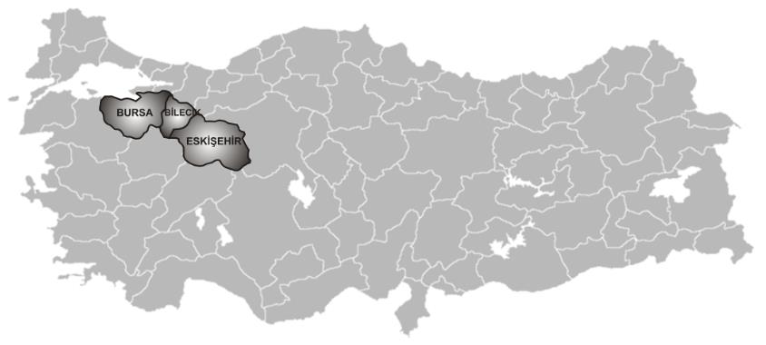 2014-2023 BÖLGE PLANI SÜRECİ Bursa