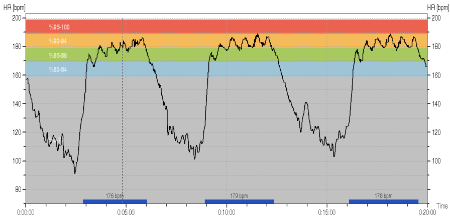 VO2max Antrenmanı Günlük Planı 2 set x 3-5 dk 3x3 Dar Alan Oyunu (12 oyuncu) 2 set x