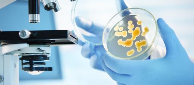 Enfeksiyon hastalığı açısından laboratuvar incelemeleri mikrobiyoloji laboratuvarında yapılır Mikrobiyolojik laboratuvar tanısı; enfeksiyonların rutin olarak doğrulanması, salgınlarda rol oynayan