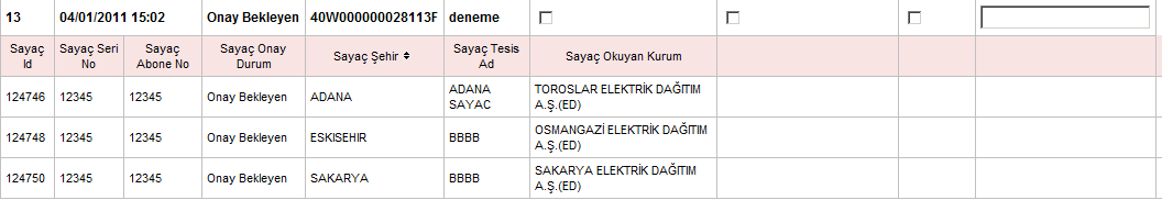 Perakende Satış Şirketi Bu ekranda UEVCB onayı perakende satış şirketi tarafından tamamlandığı için talep durum Onaylı olarak