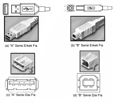 - Tam veya Düşük Çalışma Hızı: USB de iki çalışma hızı desteklenmektedir: tam hız için 12Mbps ve düşük hız için 1.5Mbps. Düşük hız tanımlama, üreticiler için maliyeti düşürme amaçlı bir opsiyondur.