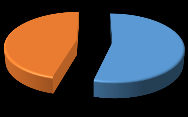 Okul yolunda bulunan kişilerle ilgili olarak kendinizi güvenli hissediyor musunuz? 45,9% 54,1% Evet Hayır Grafik 2.31.