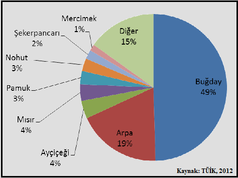 Kullanılan 44 milyar m 3 suyun % 73 ü tarım, % 16 sı içme-kullanma ve % 11 i de sanayi sektörüne aittir [9]. Türkiye de tarım, hem ekonomik hem de sosyal açıdan önemli bir sektördür.