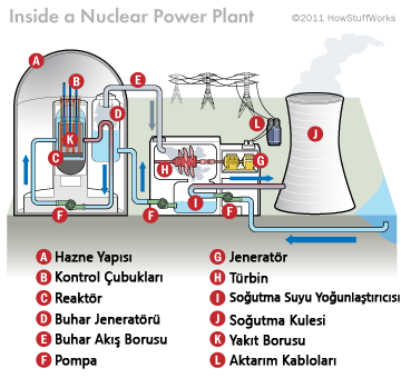 NÜKLEER SANTRAL 1. Nükleer santralin iç yapısına baktığımızda, uranyumun fisyon tepkimesine girmesiyle oluşan enerji su buharının çok yüksek sıcaklıklara kadar ısıtılmasını sağlar. 2.