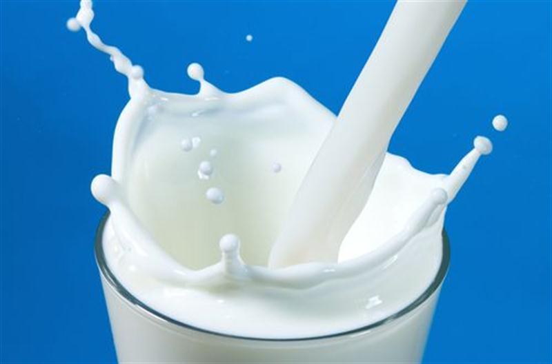 Süt ve Süt Ürünlerinde Hijyen ve Kontroller (27-31 Mayıs 2013,