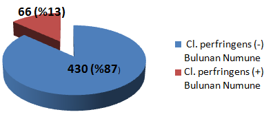 BULGULAR -Toplam 571 noktadan kontrol izlemesi numunesi alındığı tespit edildi. -Cl.