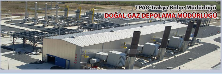 DOĞALGAZ DEPOLAMA KUZEY MARMARA DEPOLAMA TESİSİ İÇİN PATLAYICI ORTAM