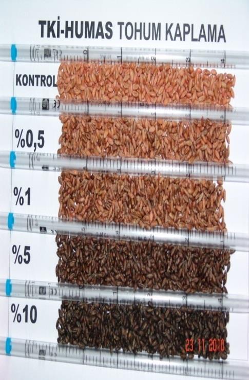Gözlüde Kuru Koşullarda Ekmeklik Buğdaya (Altay 2000) Farklı Şekil ve Miktarlarda Uygulanan TKİ-Hümas ın Tane Verimi Üzerine Etkileri Uygulama Konusu Tane Verimi, kg/da Değişim % Kontrol (TKİ-Hümas