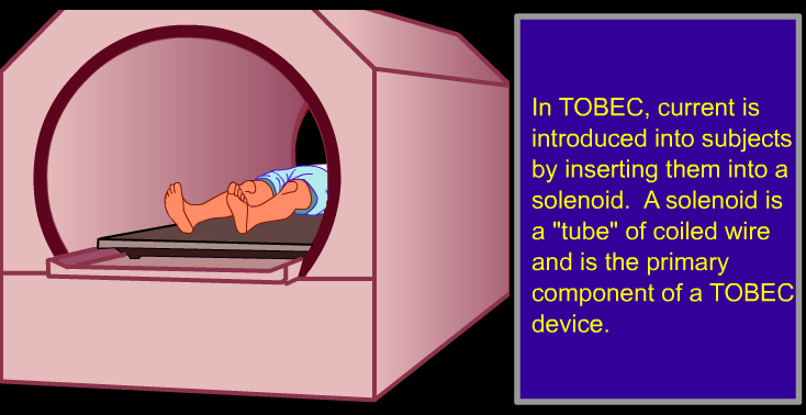 TOBEC TOBEC 3D Viewer BodPod Plethysmography