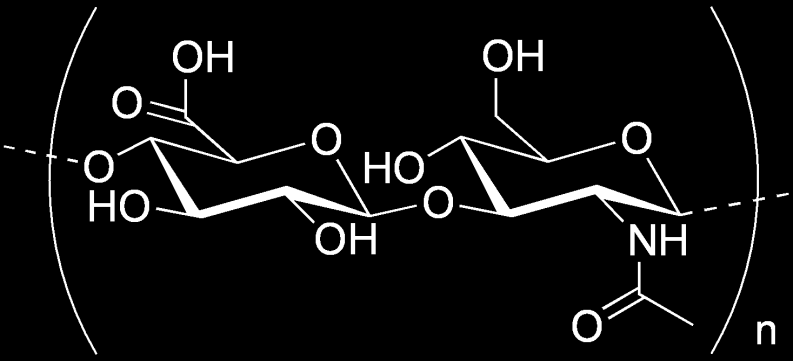 Hyaluronik Asit Hyaluronik asit birbirini takip eden D-glukuronik asit ve N-asetilglukozamin kalıntılarından oluşmuştur.