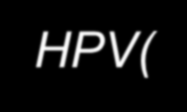 Postmenopozal HSIL Yönetimi (%70-75 CIN2/3, %2 İnvaziv Ca) Hemen LEEP* (Adölesan ve gebeler hariç) HPV(+) Kolposkopi (ECC ile birlikte) HPV(-) (Tanı / tedavi) Yetersiz Kolposkopi CIN 2,3 YOK Yeterli
