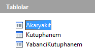 Biçim örneğini 0,00TL olarak değiştiğini yandaki resimden görebiliriz. Açıklama kısmı boş olarak geçilebilir.