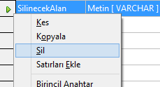 2.1.2. Sütun Ekleme Çıkarma Daha önceden oluşturulmuş olan bir tabloya tasarım ekranında iken sütun ekleme ve çıkarma işlemini yapabilirisiniz.