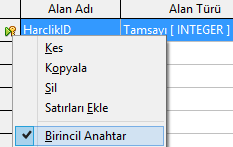 Bilimsel Bilimsel E'den üç basamak halinde sonra 10 kadar 0 sayısını yazar. E'den iki basamak halinde sonra 10 kadar 0 sayısını yazar. Kesir Tek basamaklı kesirli ifadeler için kullanılır.