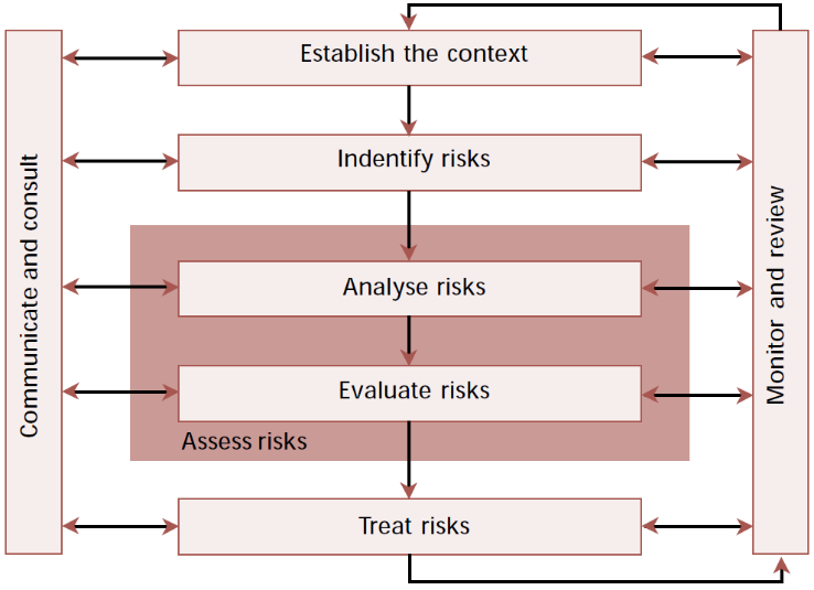 Importance of Risk Management for the Sustainability of Tourism Figure 2: Risk Management Process Figure 2: Risk Management Process Source: Granger, 2000: 20.