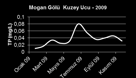 Mogan Gölü Su