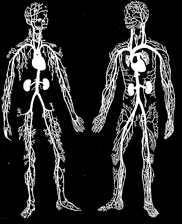 20-25% PE 75-80% DVT 20%