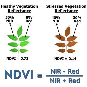Normalized Difference Vegatation Indice (NDVI) NDVI = (IR-Red) / (IR+Red) NDVI=