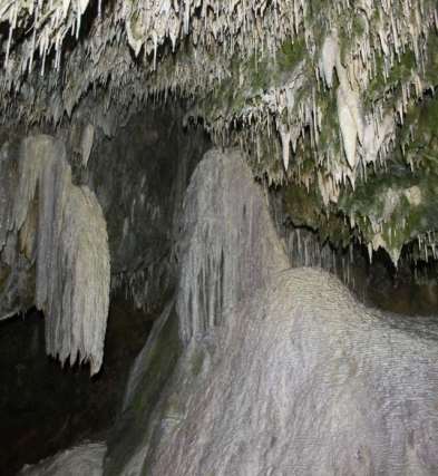 ALİ UZUN - HALİL İBRAHİM ZEYBEK - CEVDET YILMAZ - MUHAMMET BAHADIR Fotoğraf 5: Kuzalan 2 mağarasının girişi ve