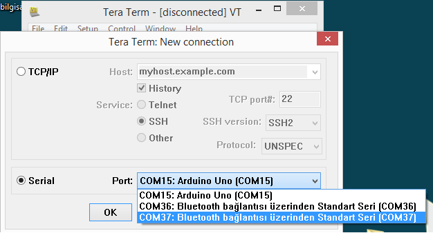 Seri port bağlantısı kuracağımız için Serial seçeneğini seçtikten sonra bilgisayarımızda açılan bluetooth giden portunu seçiyoruz. Bende COM37 olduğu için ben onu seçeceğim. Ardından Ok diyoruz.