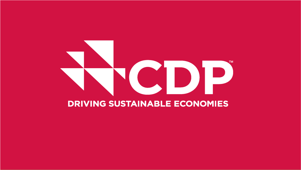 TEŞEKKÜRLER Daha fazla bilgi için: www.cdp.