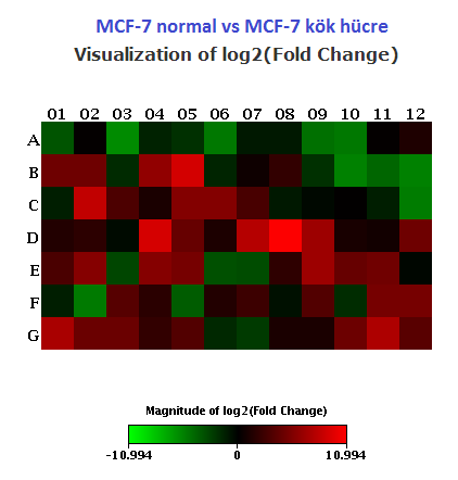 Bulgular MCF-7 (ER+ PR+ HER2- metastatik adenokarsinom) kök hücrelerinde taşıyıcı protein ailesinden SLC39A6 (160 kat) TFF3 (11 kat), transkripsiyon faktörü XBP1 (14 kat), RB1 (11 kat), MAPK3 (50