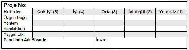 Puanlama Aşaması Puanlama gizli oy gizli kimlik açık sayım prensibine göre yapılır.