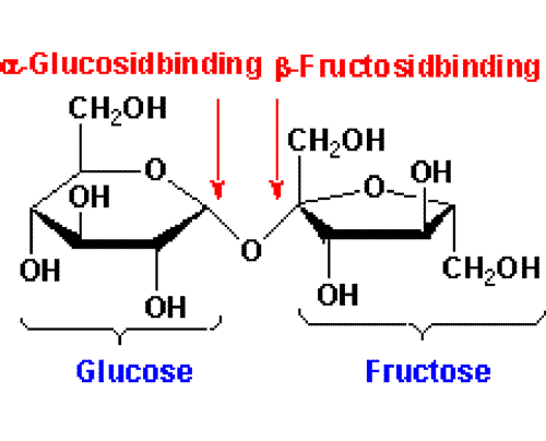 SAKKAROZ: Sakkaroz, bir glukoz molekülü ile bir fruktoz molekülünün Glc(α1 2)Fru biçiminde kondensasyonu ile oluşmuş molekül yapısına sahip disakkarittir.