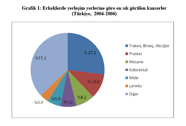 TÜRKİYE VERİLERİ