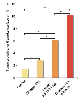 Glikoz ve insülin ile tümör