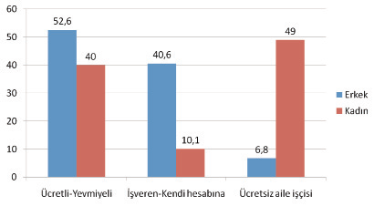 Kaynak: Antalya İli İşgücü Piyasası Analizi, 2011 Tarım alanında 2004 yılında, erkeklerin %76,4 ü işveren veya kendi hesabına, kadınların %81,1 i de ücretsiz aile işçisidir.
