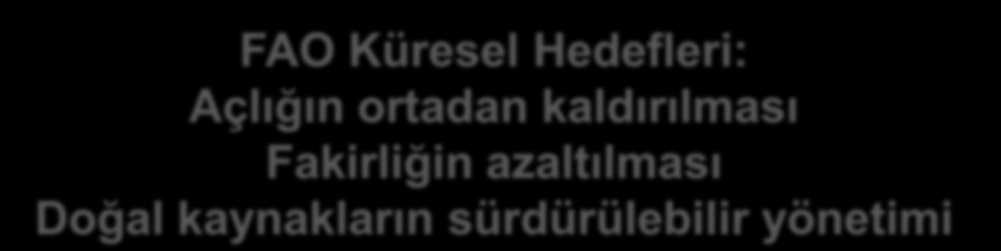 FAO Küresel Hedefleri Çalışma Alanları FAO Küresel Hedefleri: Açlığın ortadan kaldırılması Fakirliğin azaltılması Doğal kaynakların sürdürülebilir yönetimi FAO nun Yeni Stratejik