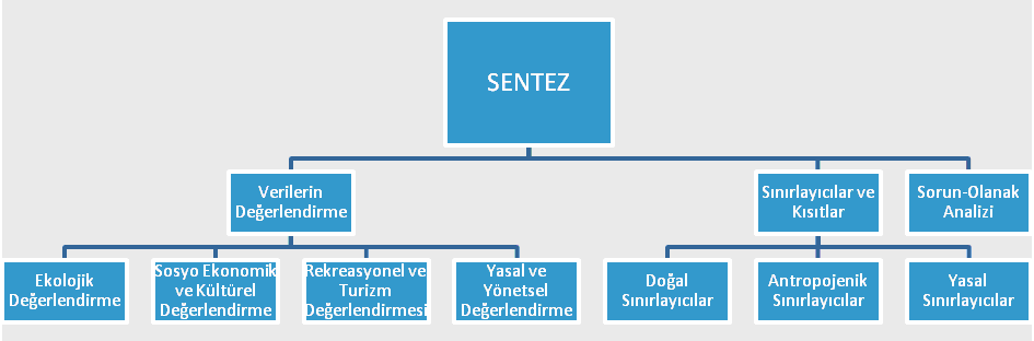 II. AŞAMA: SENTEZ