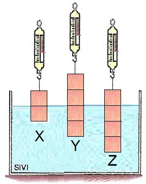 7- Dinamometrelere asılarak şekildeki gibi sıvı içinde dengede durumunda olan X, Y, Z cisimlerinin bölmeleri eşit hacimlidir.