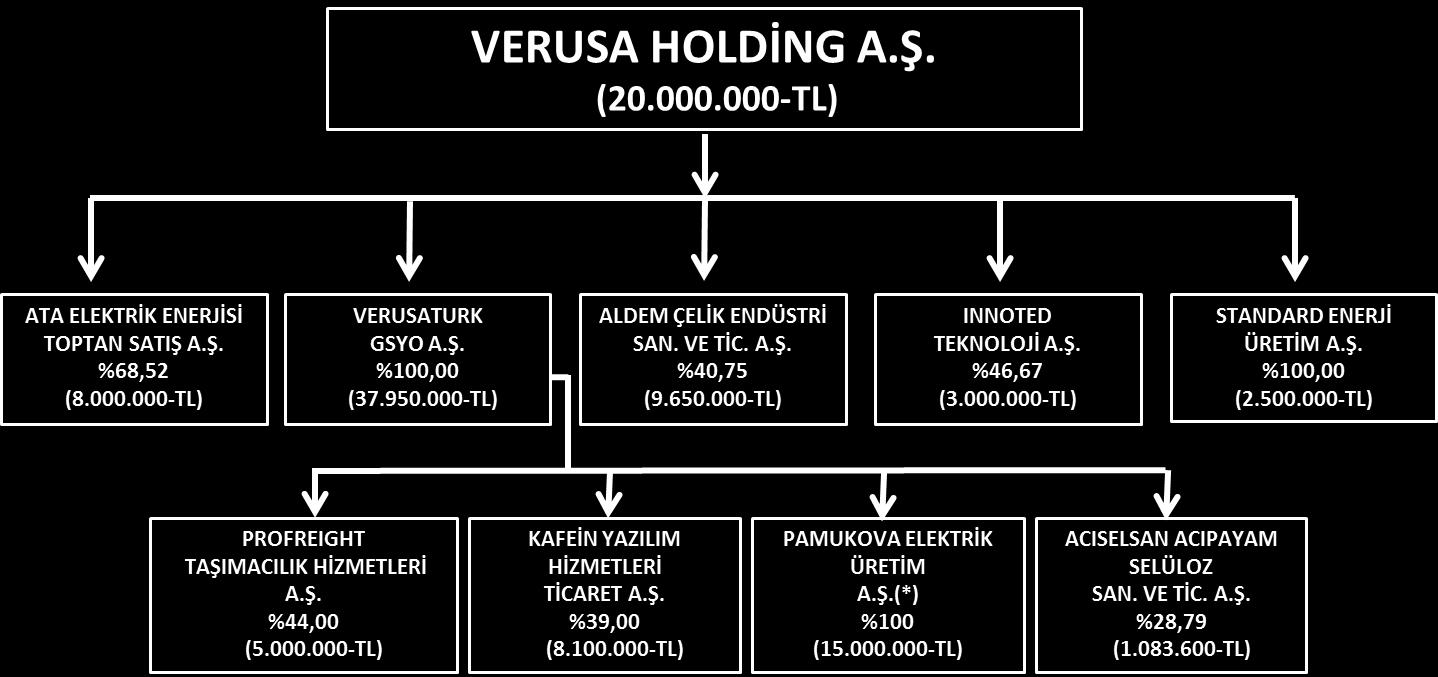 b) İştirakler Hakkında Bilgiler Verusa Holding in 30.09.2015 tarihi itibariyle iştirakleri aşağıdaki gibidir: (*) Pamukova Elektrik Üretim A.Ş.