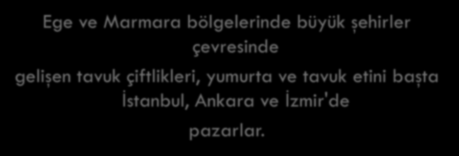 Ege ve Marmara bölgelerinde büyük şehirler çevresinde gelişen tavuk