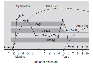 Kronik HBV infeksiyonu Semptomlar