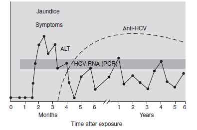 HCV serolojisi Sarılık Semptomlar