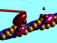 Nöral Aktivite Ca ++ Contractile Activity Calcineurin CaMK AMPK AMP _ mtor Aerobik adaptasyonlar Lif tipi dönüşümü GLUT4