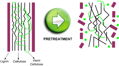 ÖN IŞLEM (PRETREATMENT) Ön işlem lignoselülozik yapıyı