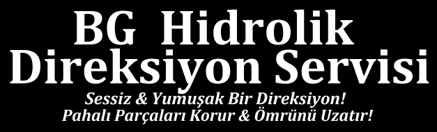 Hidrolik direksiyon sistemleri : Hidrolik direksiyon sisteminin kalbi ve rahat kullanımı sağlayan parçası hiç şüphesiz hidrolik pompalarıdır.