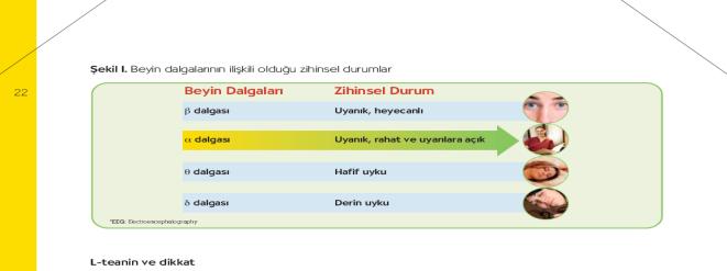 zihinsel durumla iliģkilidir. - odaklanma yeteneğiyle iliģkilidir, algıda seçicilik için temel bileģendir.