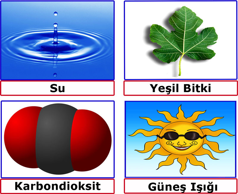 6.1. Katı, sıvı ve buhar halleri kolay elde edilebilir (su gibi) maddeleri ısıtıp soğutarak, sıcaklık-zaman verilerini grafiğe geçirir. (26) 1.1. Besin zincirlerinin başlangıcında üreticilerin bulunduğu çıkarımını yapar.