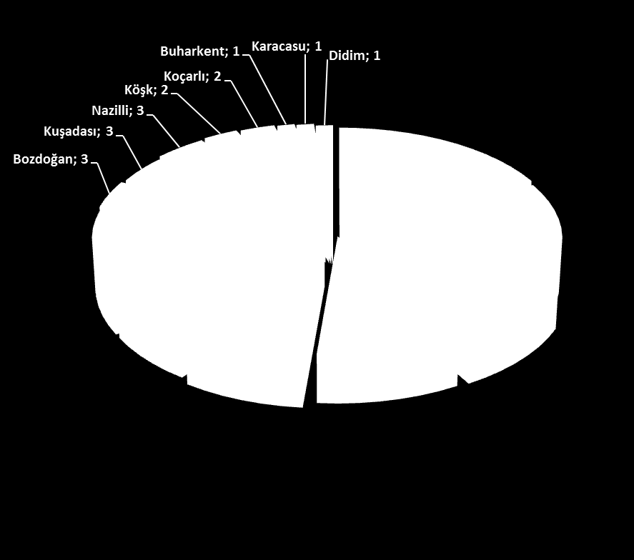 YATIRIM YERİ (İLÇE ADI) PROJE SAYISI Merkez 13 Karpuzlu 10 Çine 7 Söke 7 Germencik 6 Sultanhisar 5 Yenipazar 4