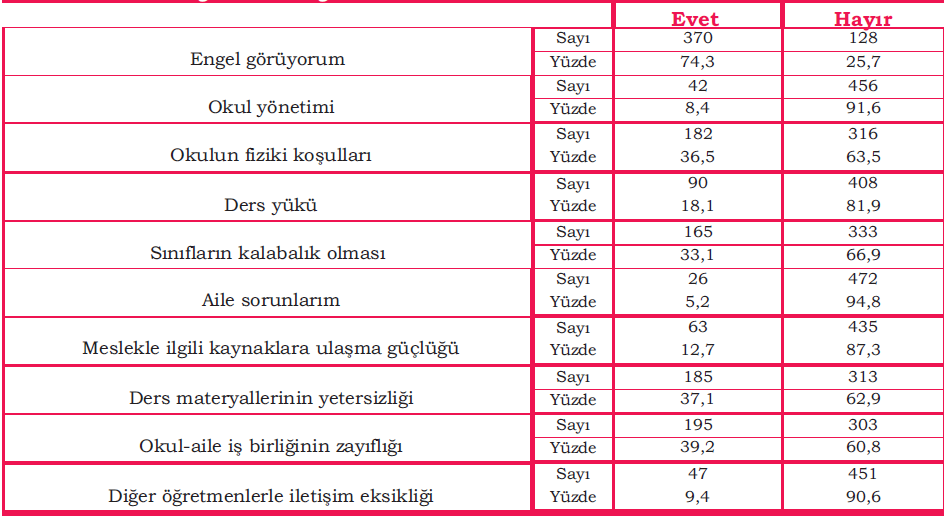 Öğretmenlerin mesleki