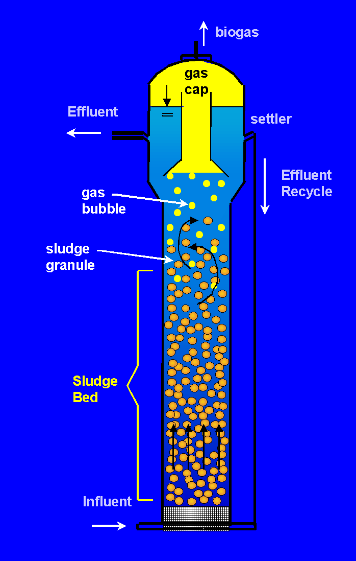 Expanded Granular Sludge Bed (EGSB) EGSB can be taught as a vertically stretched version of the UASB reactor In order to improve the sludgewastewater contact and use the entire reactor