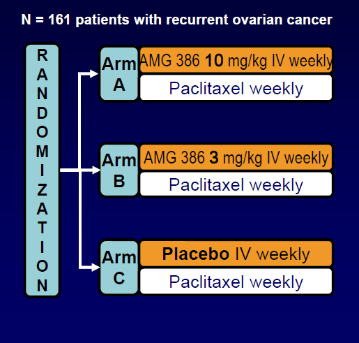 Faz II Randomize: AMG 386 (Trebananib)+Haftalık Paclitaxel Trebananib: Rekombinant peptide-fc fusion