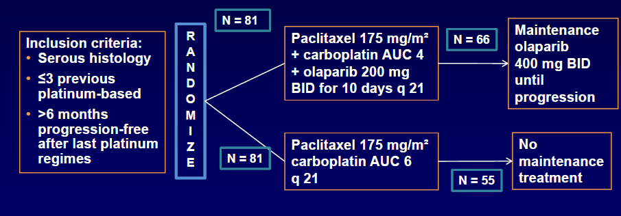 Olaparib+Paclitaxel/Carboplatin Randomize, Faz II,